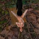 Thumb 59517fe3d774f8572c000001