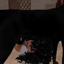 Thumb 5a54074b289dd248c7000001