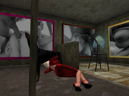 Web 5857120de85cda5a9a000001