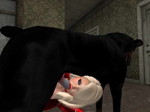 Web 585712b9e85cda602f000001