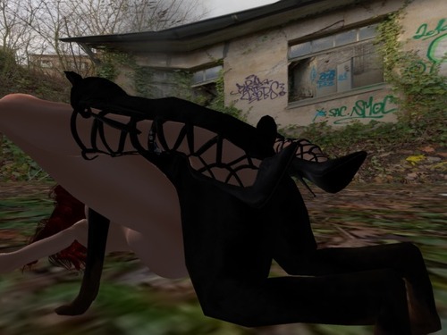 Web 58619bedb015406807000001