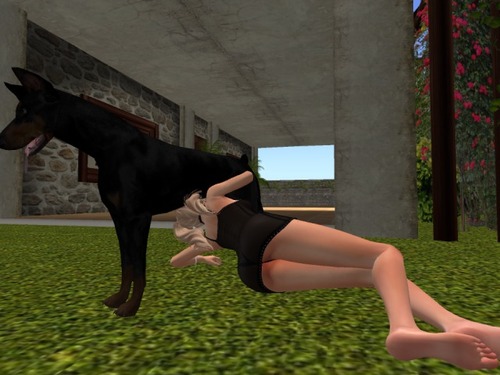 Web 58788658e85cda355f000001