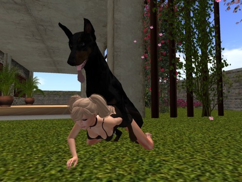 Web 58788891f8a1ec0989000001