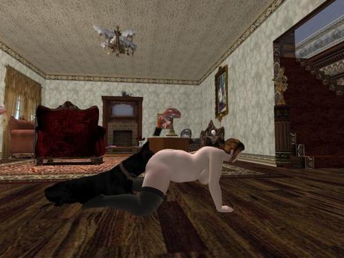 Web 599c5b66289dd25113000001