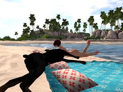 Web 5a1c5215289dd233d0000001