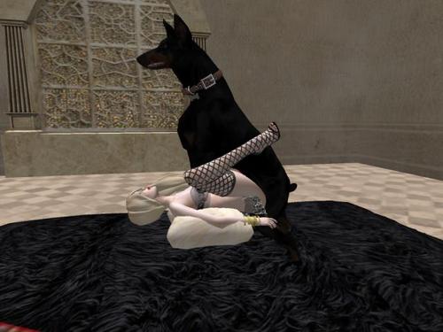 Web 5a2dc2e7d9859c7d92000001