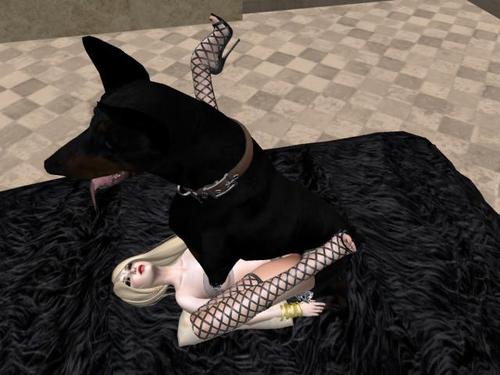 Web 5a2dc325d774f87799000001