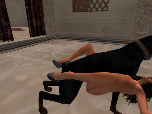 Web 5a5408bcd774f804ee000001