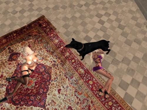 Web 5a7b03cbd9859c2fcd000001