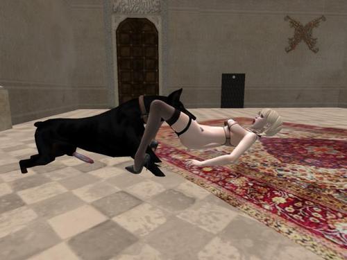 Web 5a7e32d8d774f85882000001