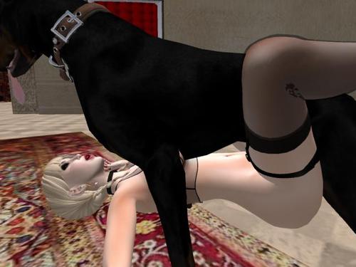 Web 5a7e3367d9859c1541000001