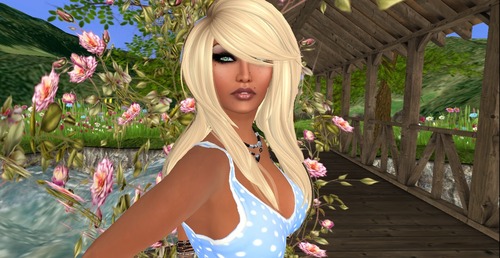 Web 5589620aa73e2176b9000001