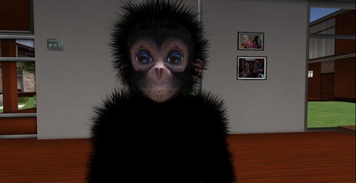 Web 55a1ac5f8da5725b8e000001