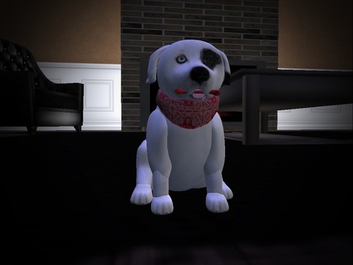 Web 566a048e128cc9565a000001