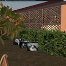 Thumb 5e0a546f73ed177b9b905d61