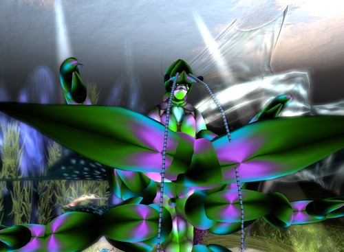 Web 5574ca37a73e214e14000001