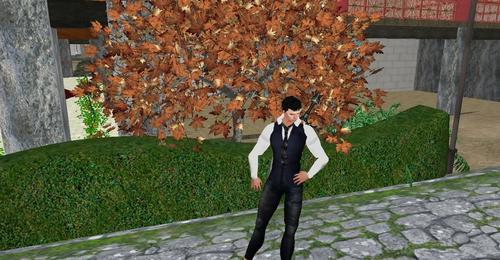 Web 5baf6c01d9859c7531000001