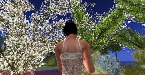 Web 5f47150773ed1707ec500937