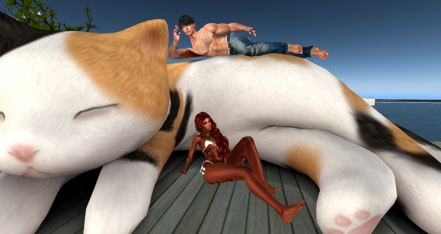 Original 61f2fa3e7e65b97183bd5e76