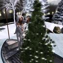 Thumb 61c223a753d39f71a09d3717