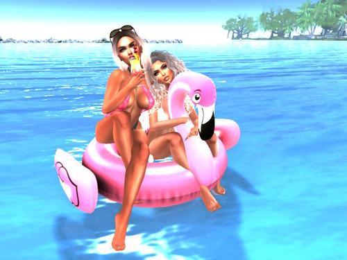 Web 5c9be8f1d774f864bc000001