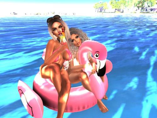 Web 5c9bea0e73ed1739e4000001