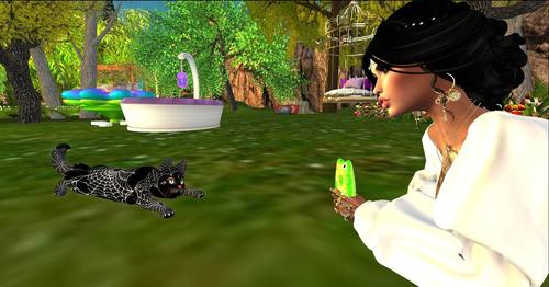 Web 5cf8e8ab73ed176c3a000001