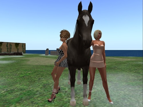 Web 56d475429934e074c0000001