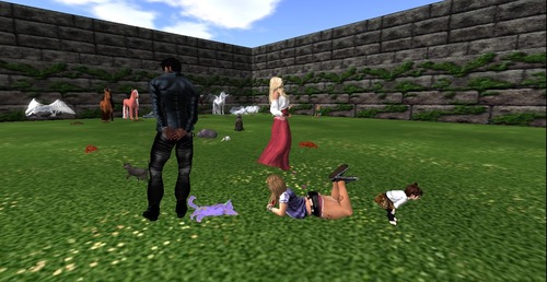 Web 55856d6ef8a1ec5ceb000001