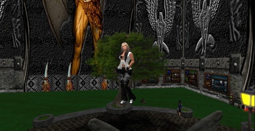 Web 566f10d7f8a1ec3692000001