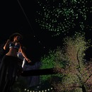 Thumb 5598c5a78da57203dd000001