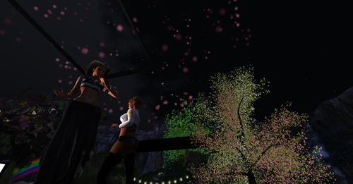 Web 5598c525128cc94769000001