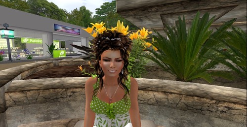 Web 55a13b5ca73e2152da000001