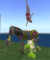 Small 556c978b128cc93590000001