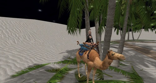 Web 55474e9ba73e217f99000001