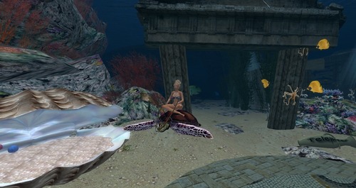 Web 55474f77128cc94c2f000001