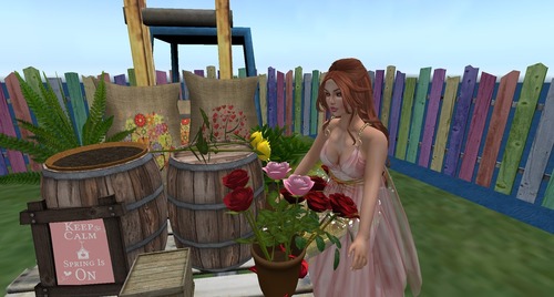 Web 556c94e3f8a1ec51c7000001