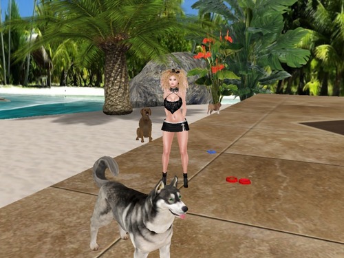 Web 551e29f68da57262d3000001