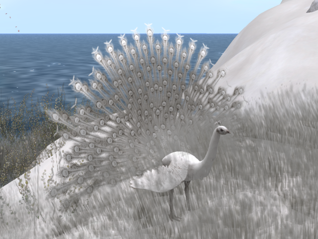 Original 599449c7d9859c1097000001