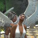 Thumb 59724b6b289dd208f0000001