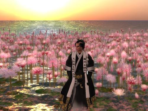 Web 5973eb34d774f85518000001