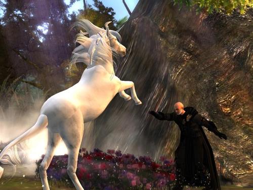 Web 598c6f4fd9859c3e9d000001