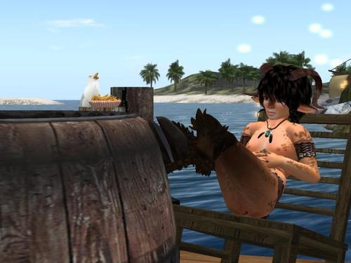 Web 598c9f31d774f87c2a000001