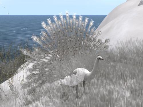 Web 599449c7d9859c1097000001