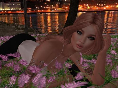 Web 5a493c60d774f80e6a000001