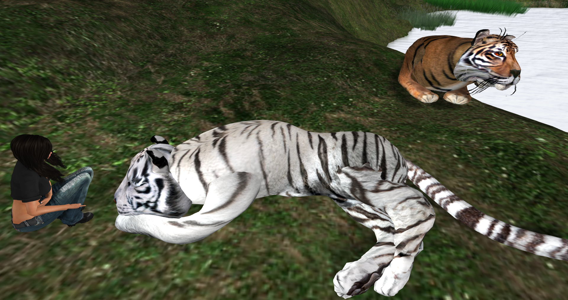 Original 5557ced9a73e213f36000001