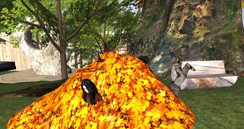 Web 55431873f8a1ec1655000001