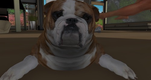 Web 55457cf1a73e216c44000001