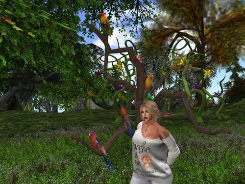 Web 5e215791289dd243789c7b1c