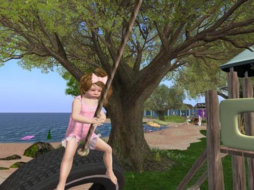 Web 5b0e2243d774f8511d000001